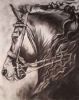 "Friesian "