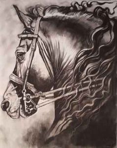 "Friesian "