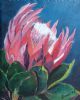 "Wonderful Protea"