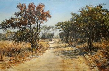 "Kruger Park in Search of Game"