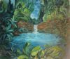 "Knysna Forest"