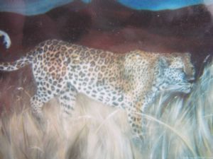 "Leopard 1"
