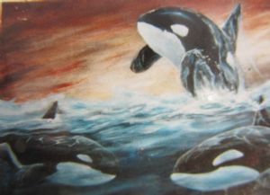 "Orca"