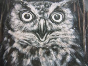 "Owl"