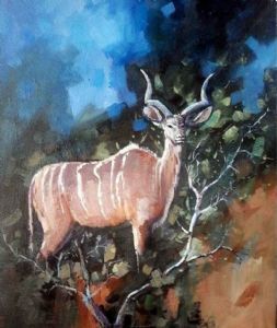 "Young Kudu Bull"