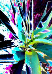 "DP45 Aloe Shadows #6 Digital Print"