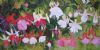 "Fuchsias"