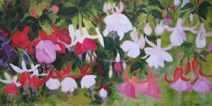 "Fuchsias"