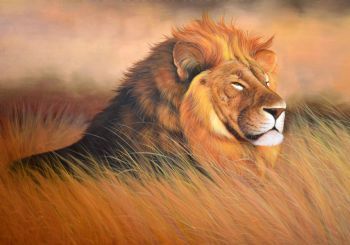 "Lion"