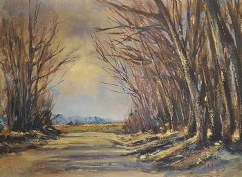 "Road to Hogsback"