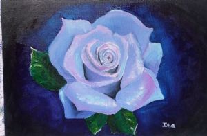 "Blue Rose"