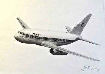 "Boeing 737 in Flight"