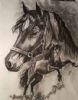"Cwmcerrig Welsh King"