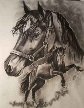 "Cwmcerrig Welsh King"