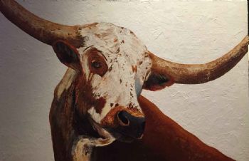 "Nguni"