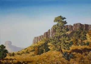 "Flower Valley"