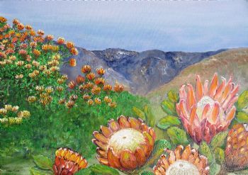 "A Bigger Variety of Proteas"