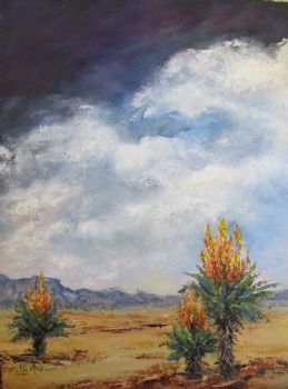 "Aloe Landscape "