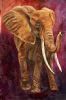 "elephant"