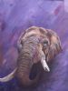 "elephant"