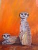 "Meerkats"