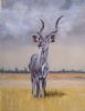 "Kudu"
