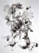 Spirit Flowers
