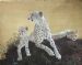 Cheetah Family