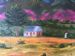 Spring in the Karoo