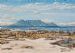 Table Mountain South Africa 17