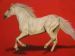Galloping White Horse Through Red