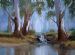 Blue gum Stream