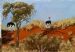 Ostritches in Kalahari on dunes