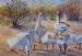 Geese in Farmyard