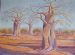 Baobabs