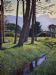 Devil's Peak from Rondesbosch