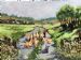 Sheep Farm