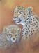 Cheetah & Cub