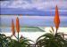 One Fine Afternoon at Jeffreys Bay