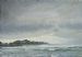 Buffels Bay Wild Side