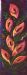 Pink Arum Lilies