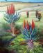 Aloes