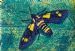 Hornet Moth