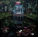 Lily Pond Reflections