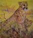 Cheetah and Curious Cub