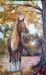 Horse and Tree