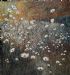 Fragile Earth 12