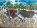 Couple of Nguni Cattle Mother at the Front