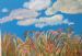 Grasses, Flowers and Sky