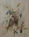 Casablanca Lilies